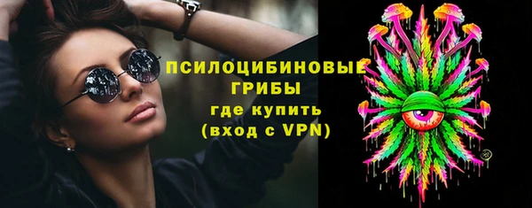 СК Абинск